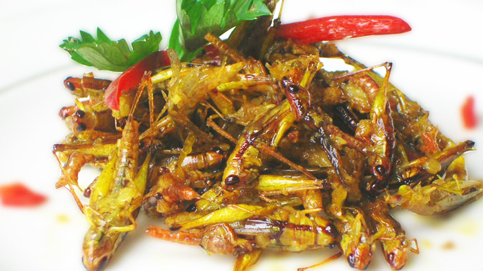 Belalang goreng garing