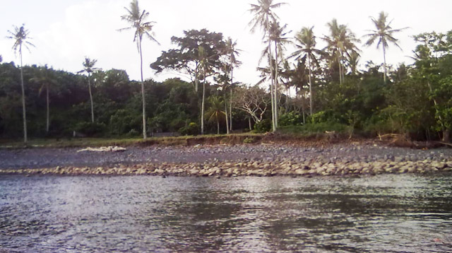 Ilustrasi muara sungai.