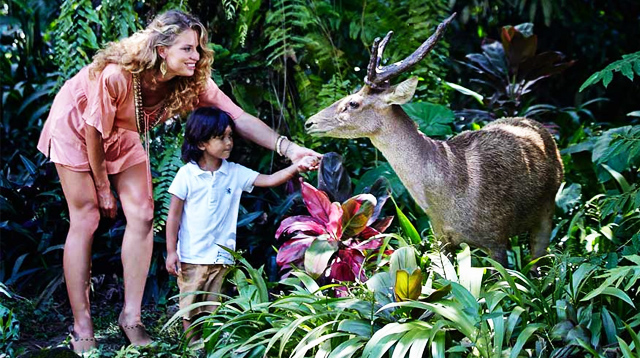 Bali Zoo