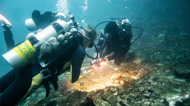 Spot diving Selat Lembeh