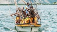 Tarian tradisional Papua