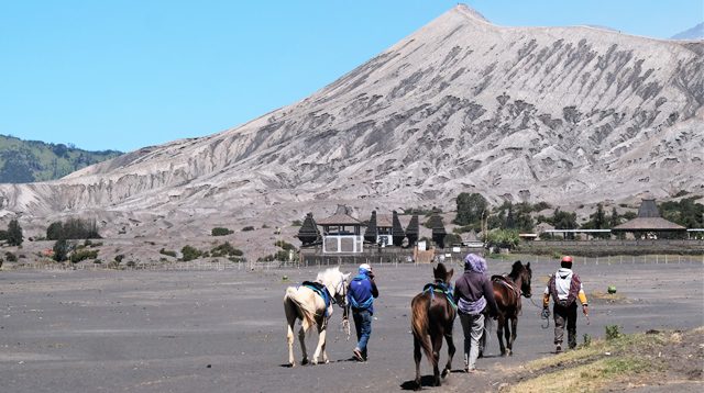 Wisata berkuda di Bromo