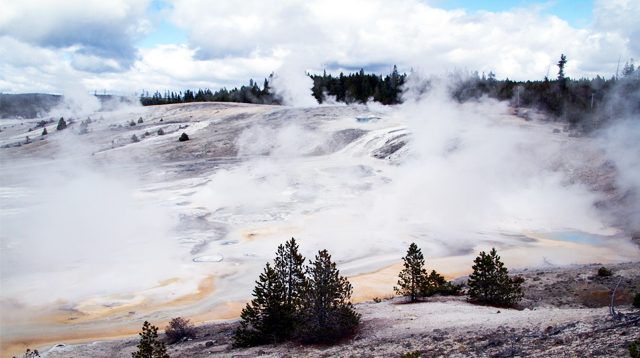 Taman Nasional Yellowstone