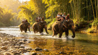 Wisata naik gajah